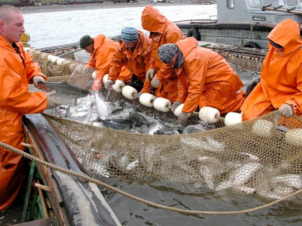 Запрет на осеннюю рыбалку в 2021 году - календарь и законодательство